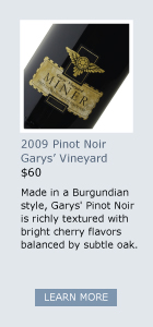 2009 Garys' Pinot